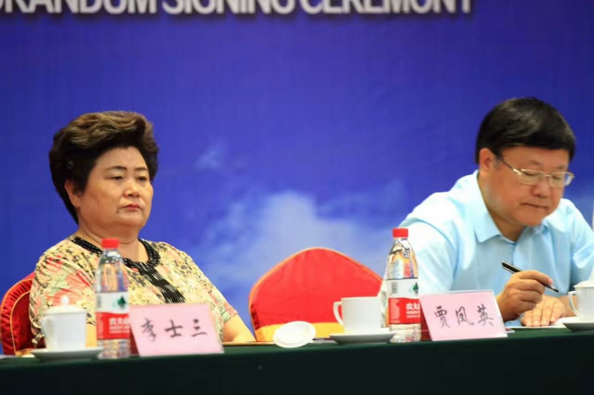 大正建材 大正建材